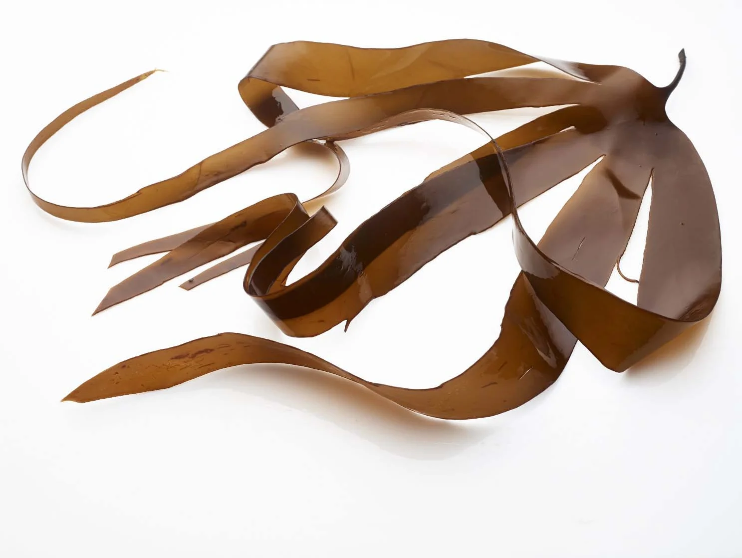 - Vi bør spise mer tang og tare 