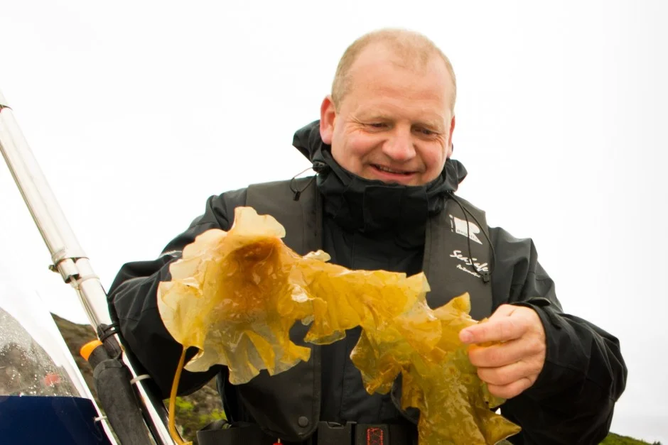 Norges nye Taremareby