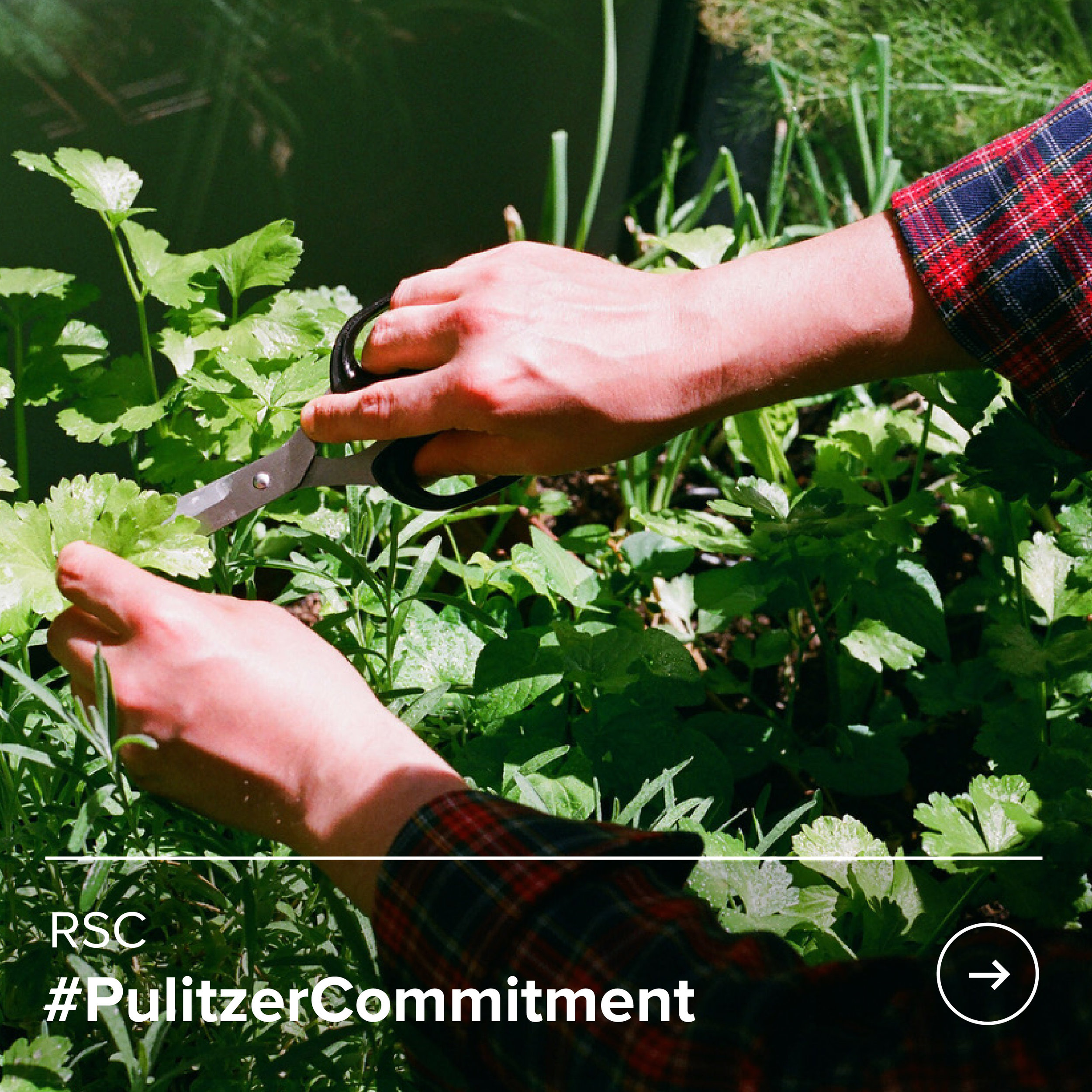 Cubo Pulitzer Commitment-51.jpg