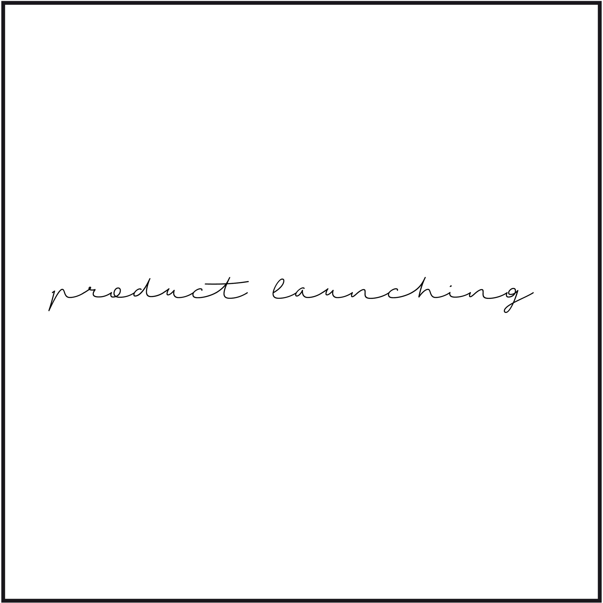 Cubo product launching-64.jpg