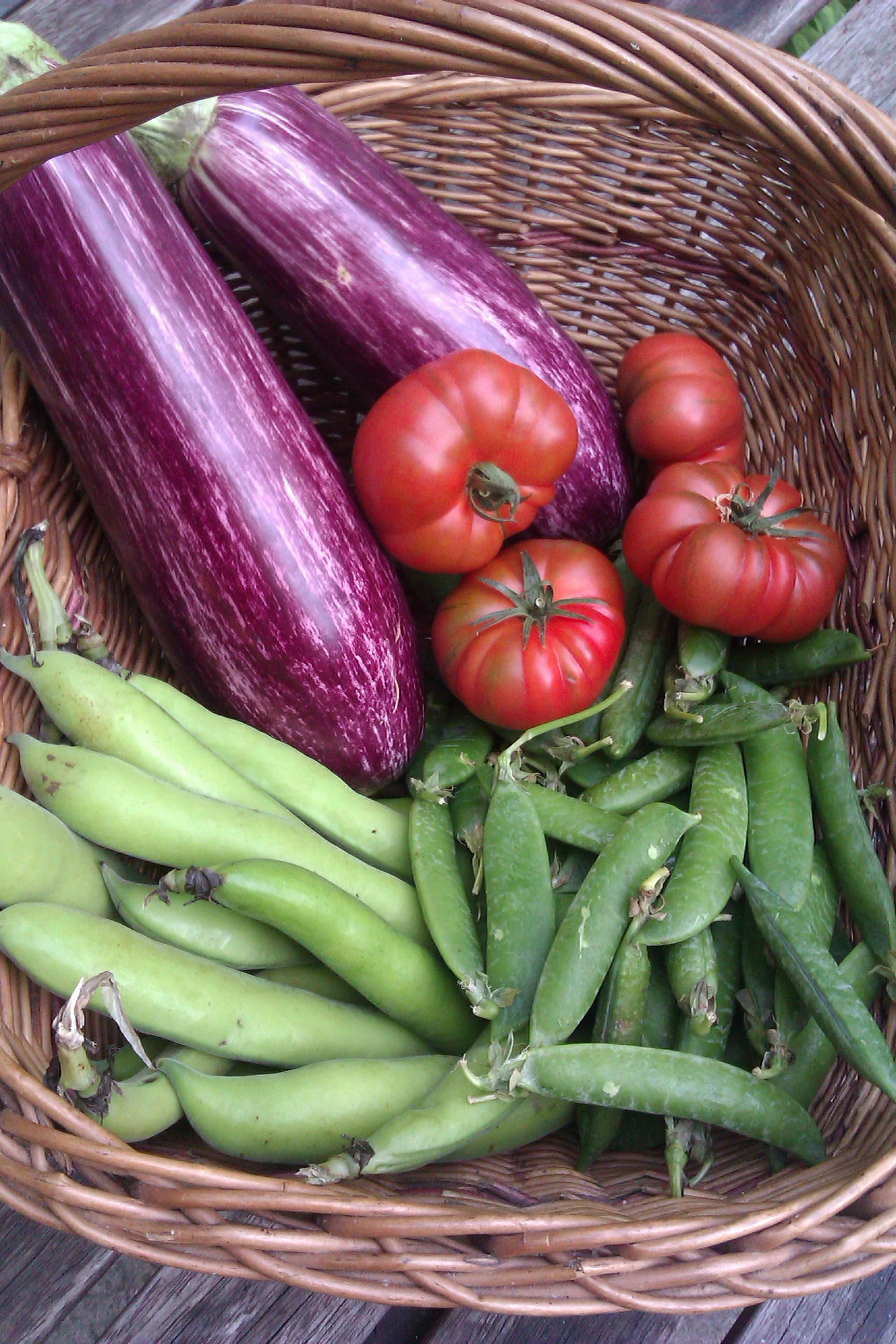 Food for Life Partnership Big Picnic