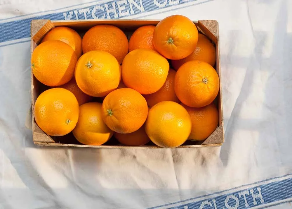 FOR THE LOVE OF ORANGES