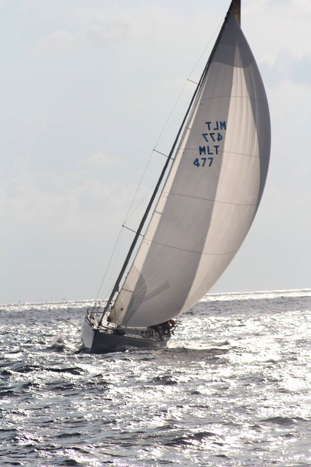 887343_10153353398821775_7416755045930991958_o.jpg