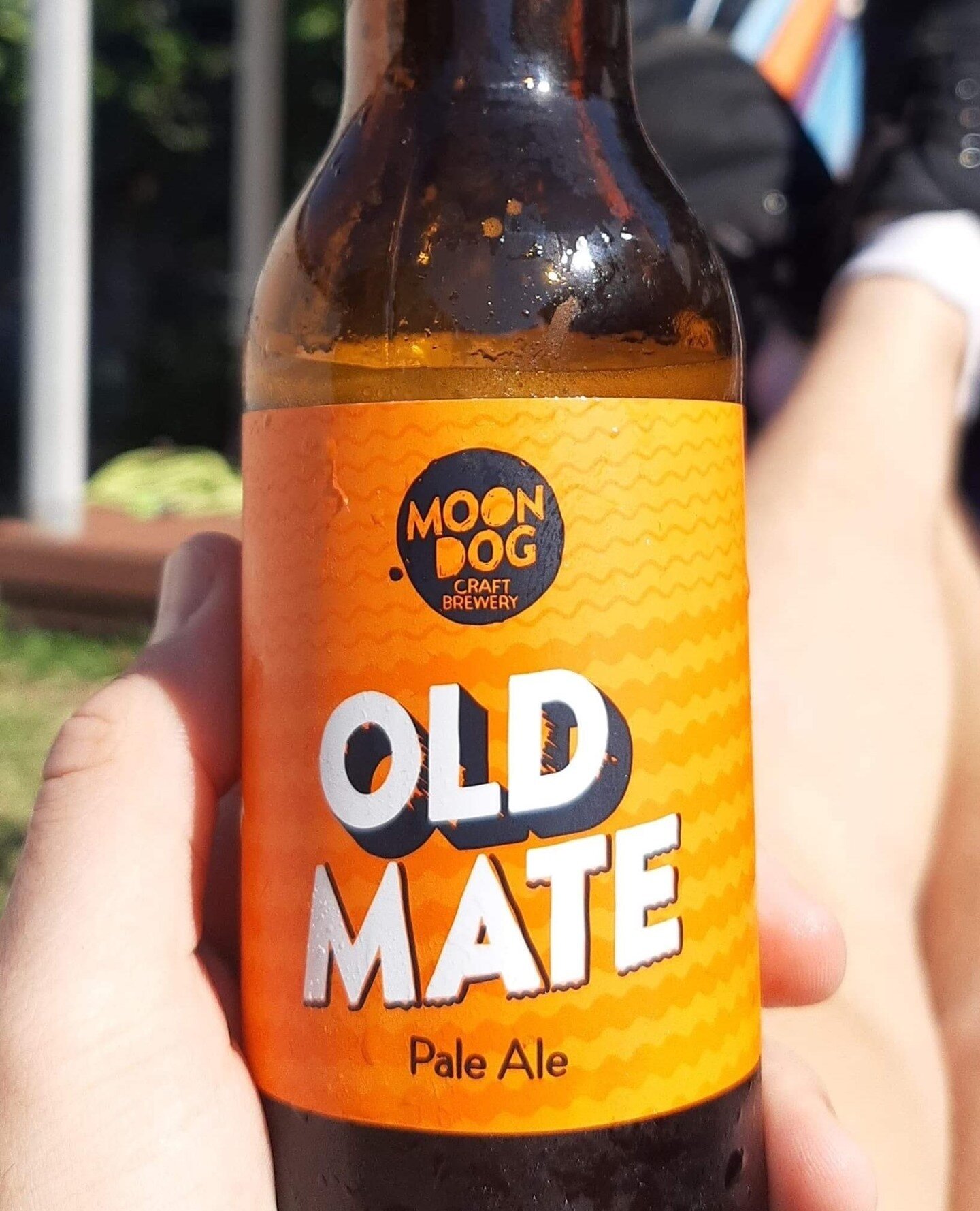 Connor's Corner is back with an Australian crafty perfect for afternoons in the hammock this Summer.⁠
⁠
&quot;Moon Dog Old Mate gives you a taste that blends smooth and easy going malt, with a peachy/citrusy hint. Perfect for a big day out paired wit