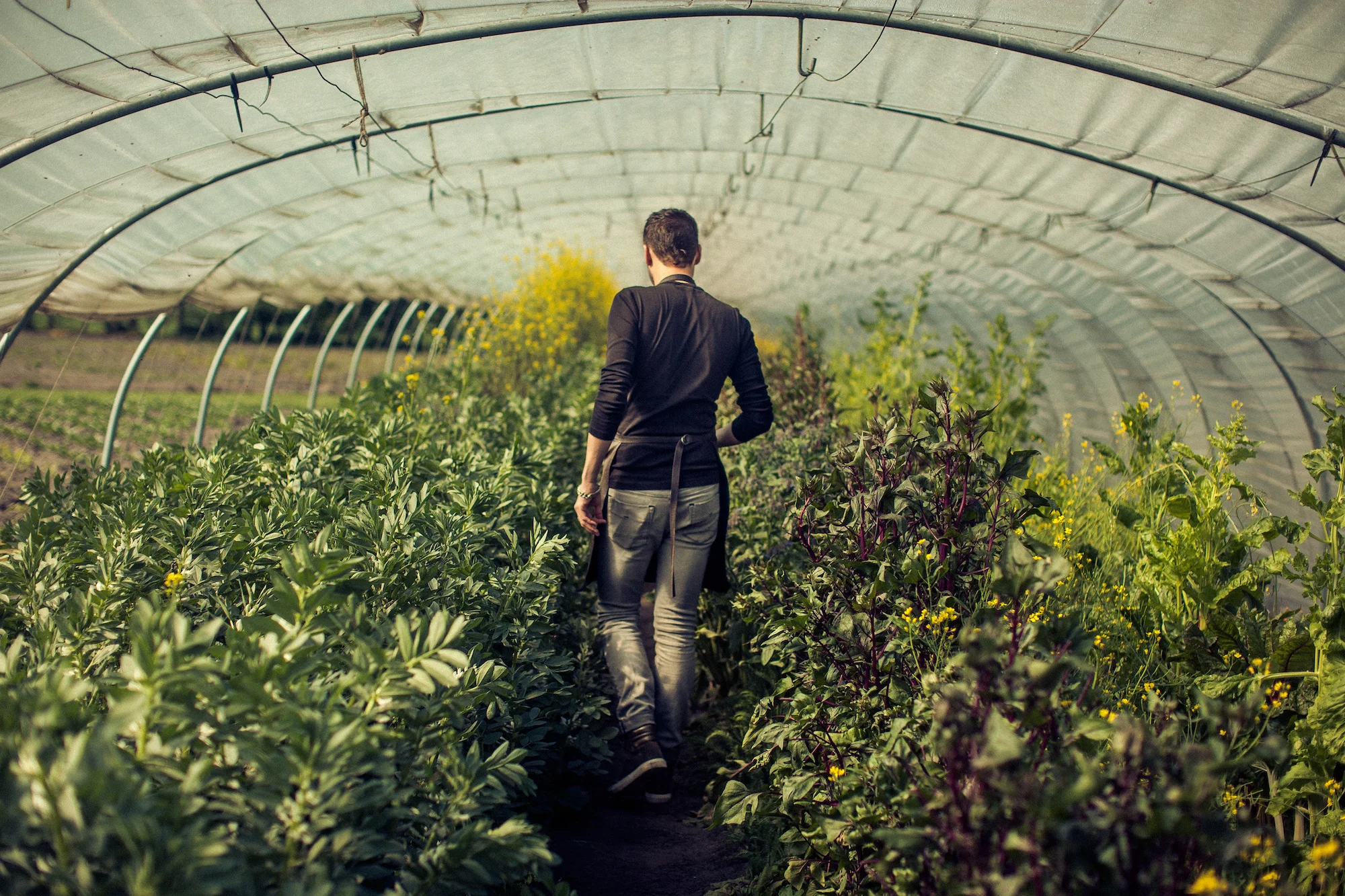 Gert De Mangeleer in the garden