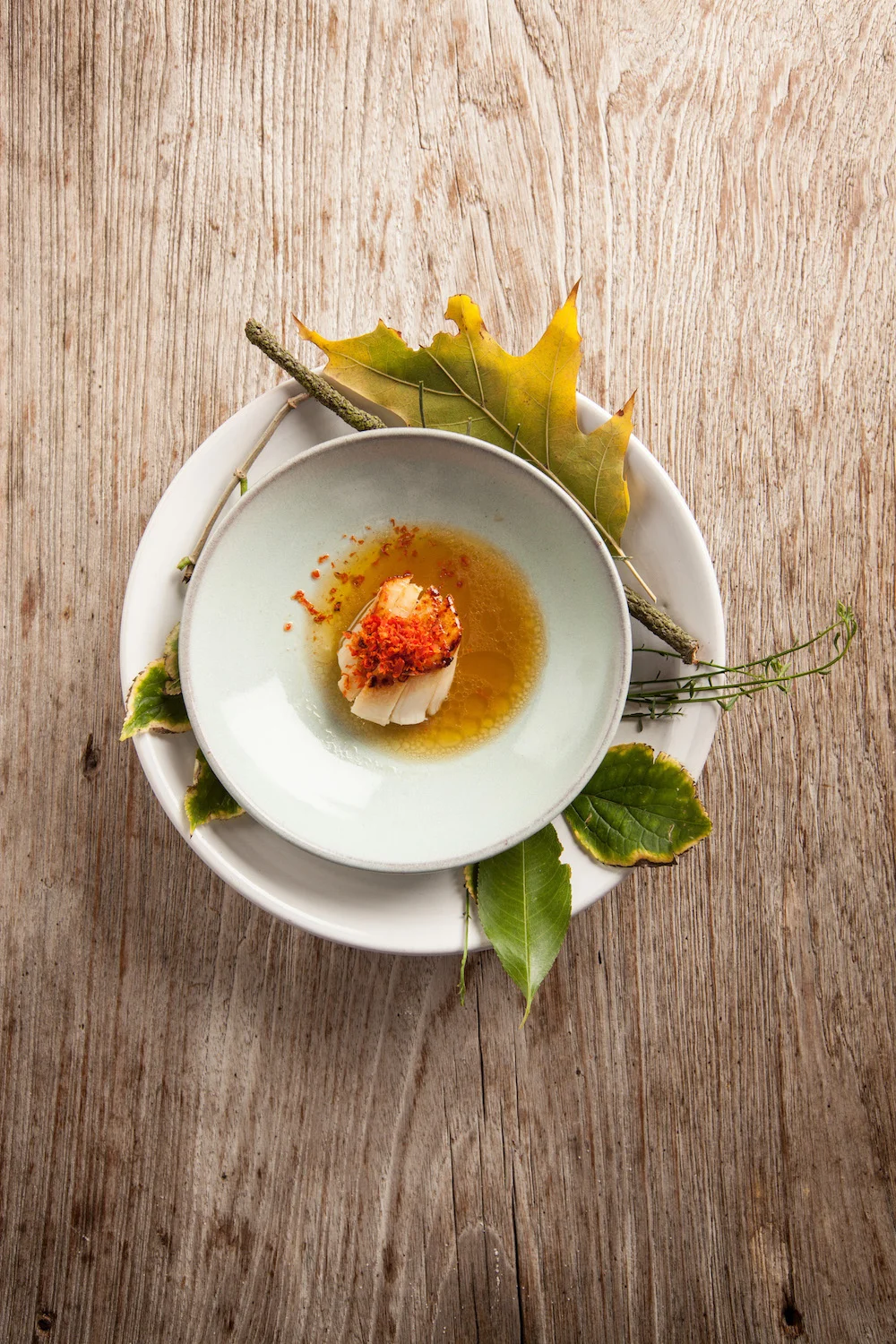 EVEN_BENOIT_scallops juniper--1.jpg