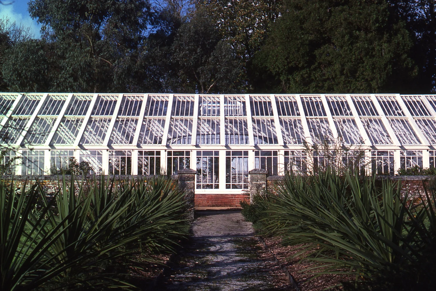 tregrehan greenhouse.jpg