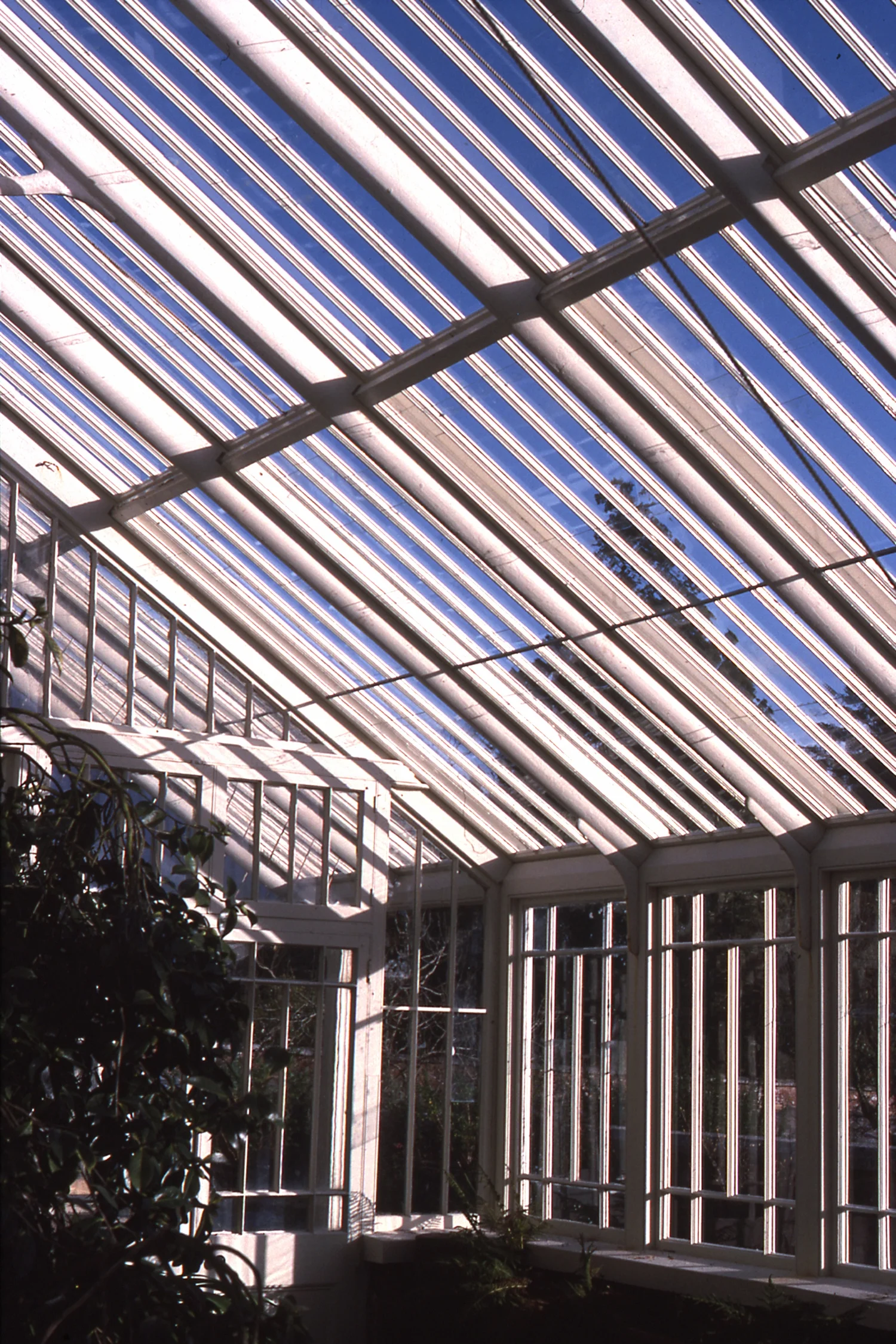 b38-001.jpg