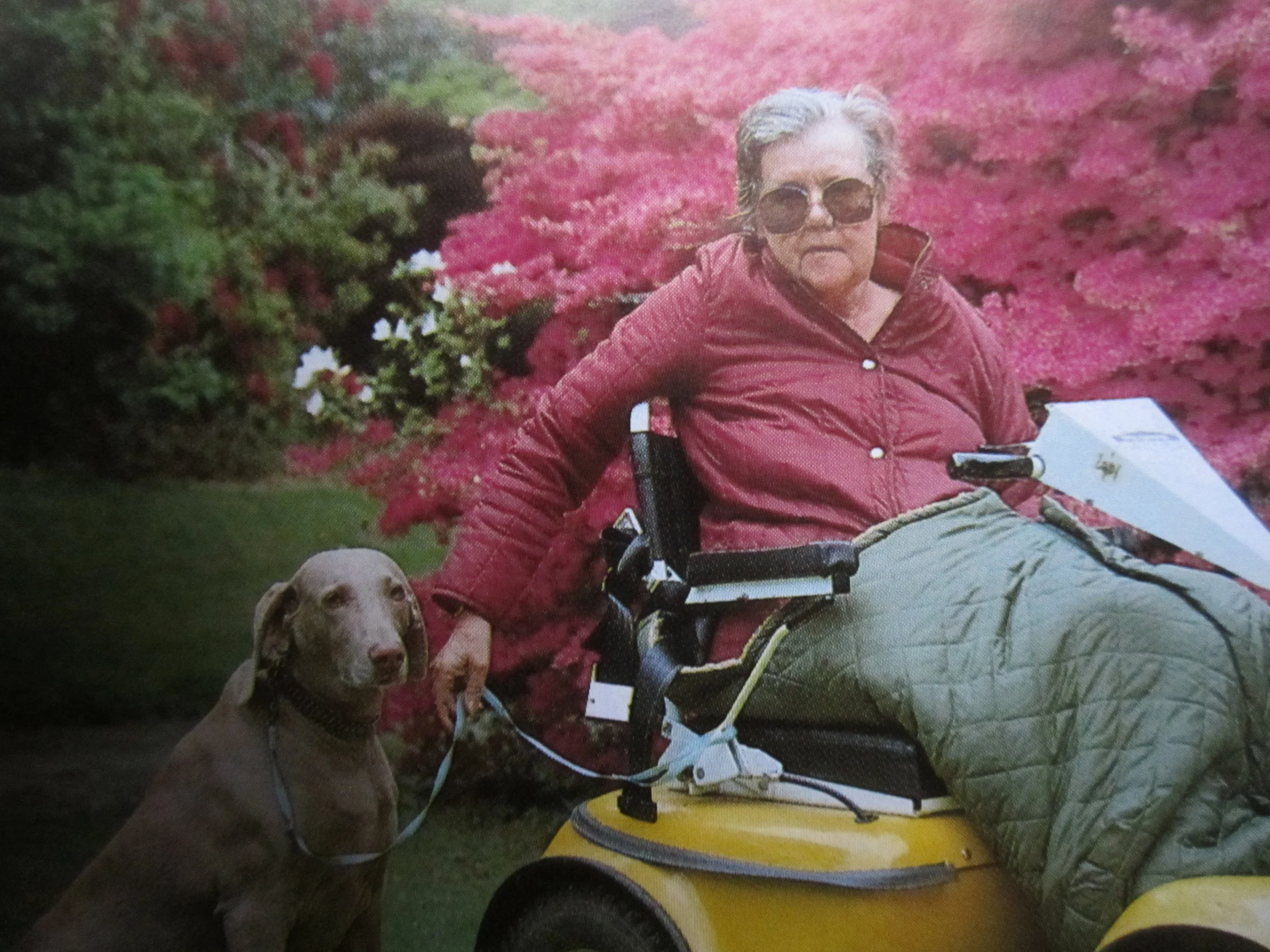 Gillian Carlyon (and Rosie)