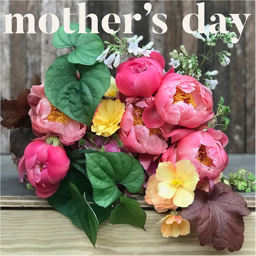 MothersDay2019 small.jpeg