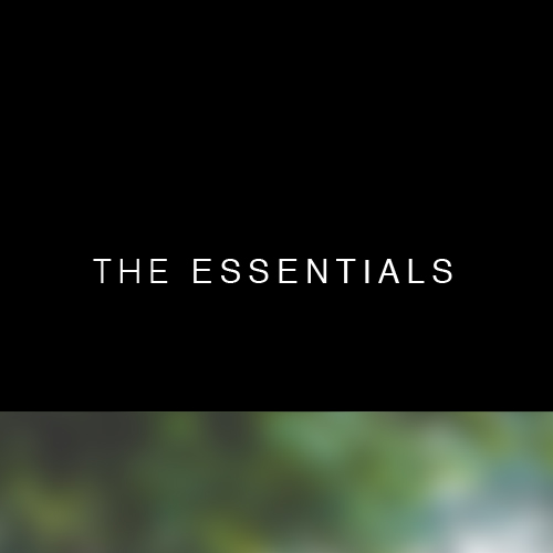 essentials_thumb-02-01.jpg