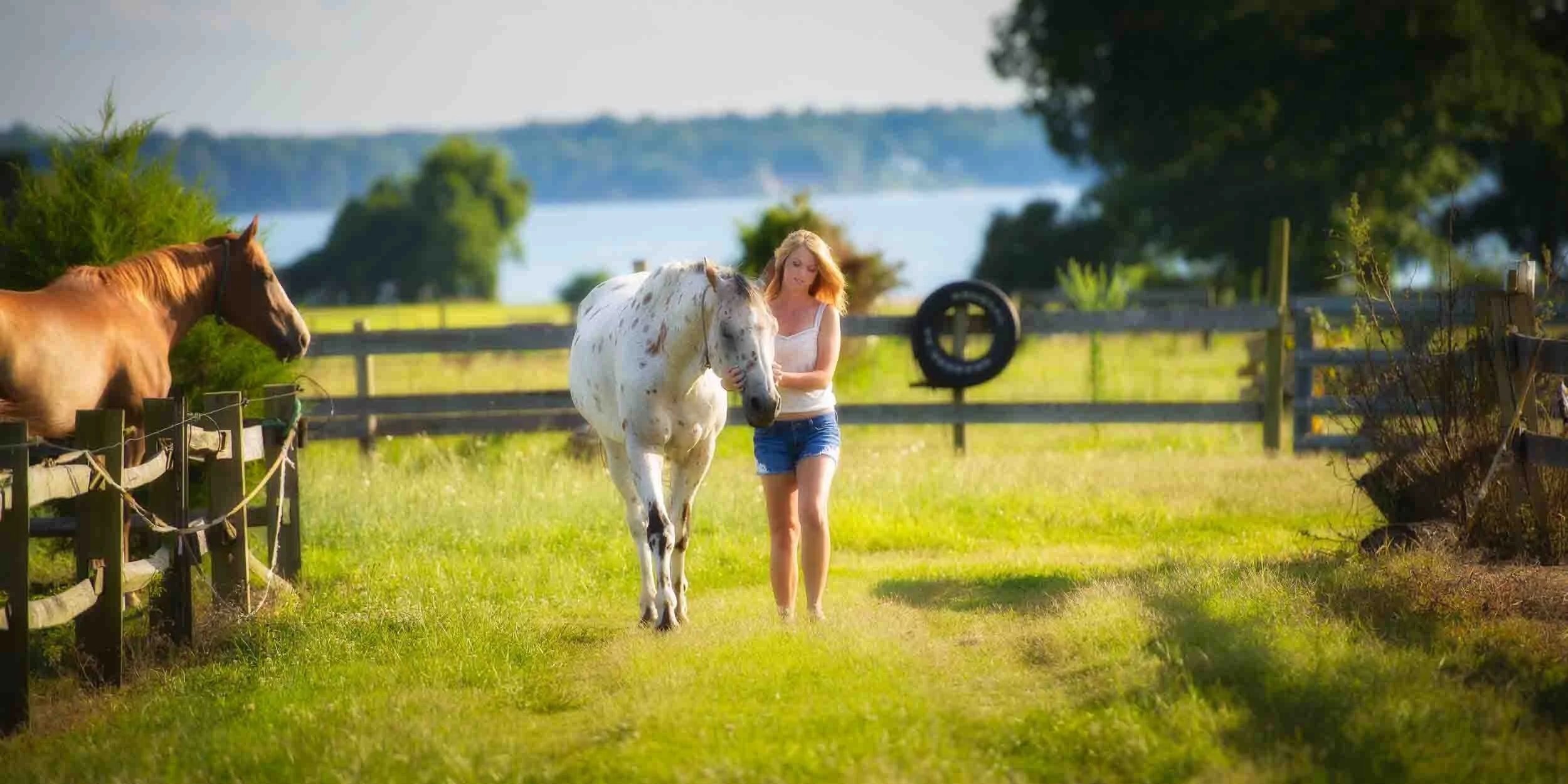 Equestrian portrait in Maryland