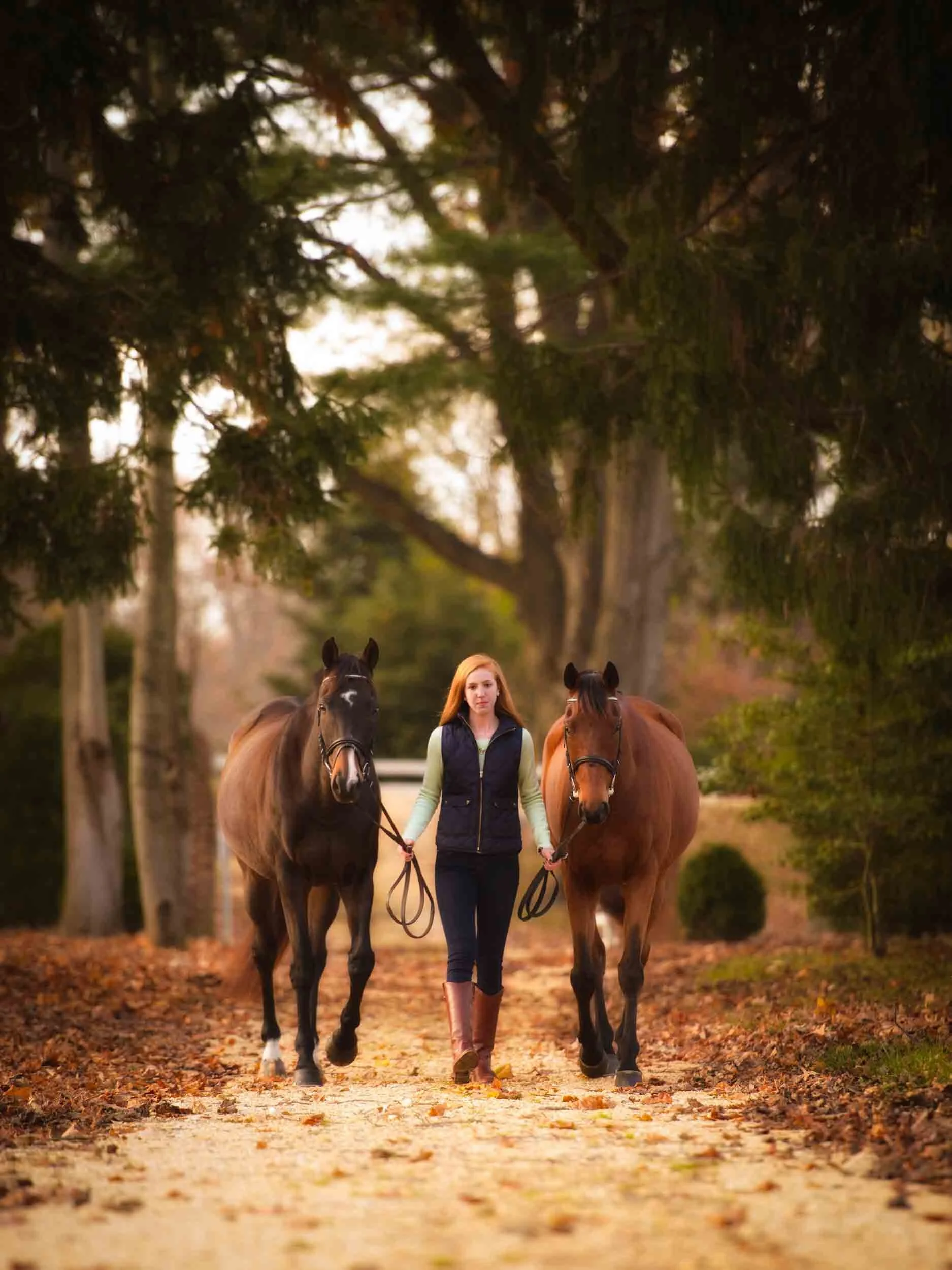 Senior with horse in Maryland 
