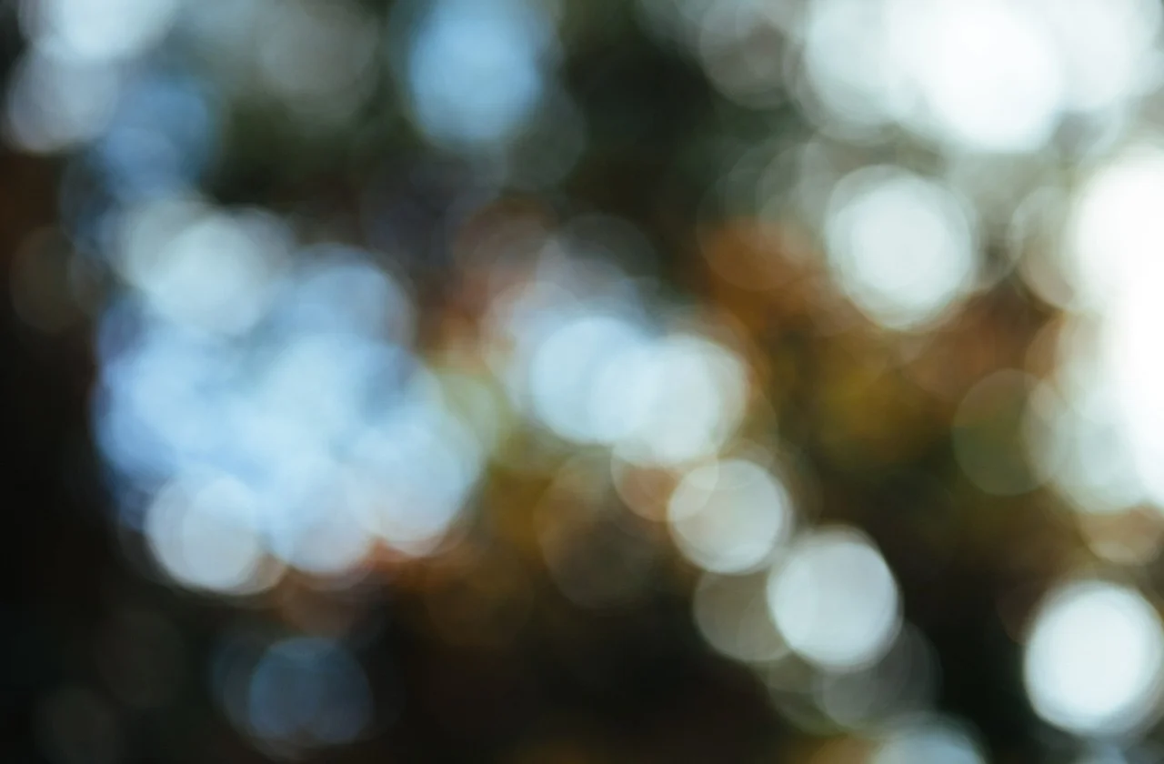 Little Visuals tumblr_mrztr6aaUV1sdyj9lo1_1280.jpg