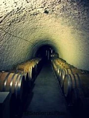 SantoriniWineCellar_180x240.jpg