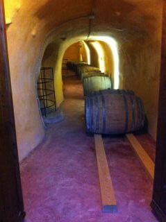 This is the tunnel with the fermentation vats at the lower level of the winery.