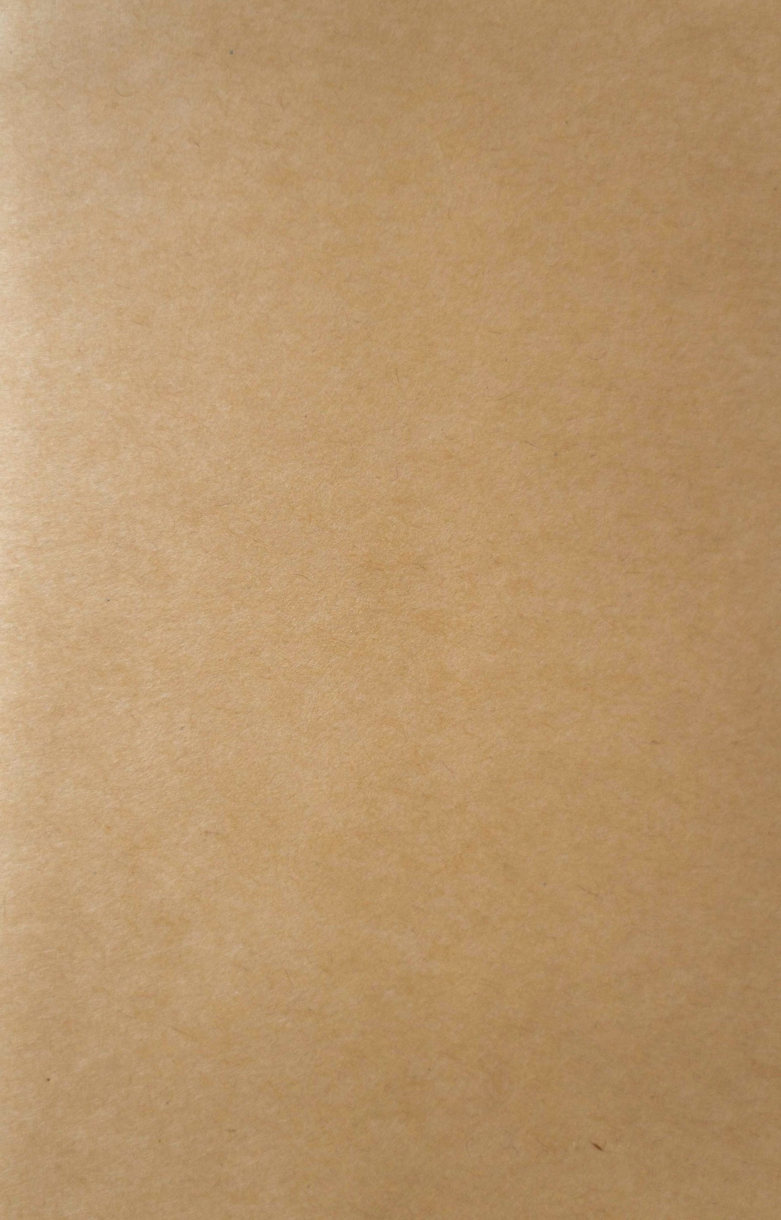 KraftPaper.jpg