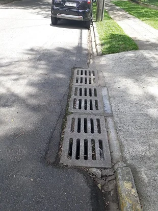 5353.jpg
