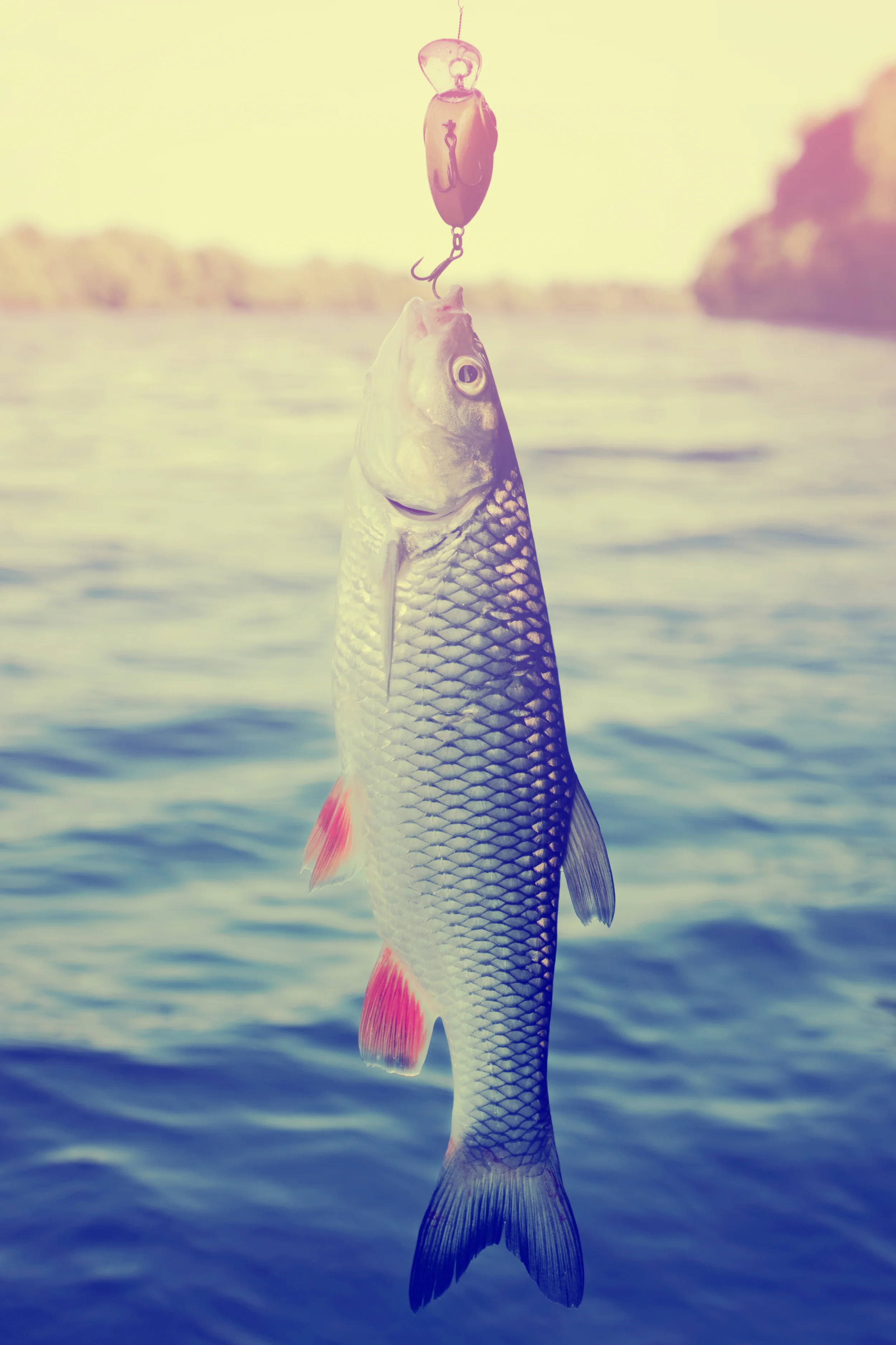 Aquaculture Pioneers