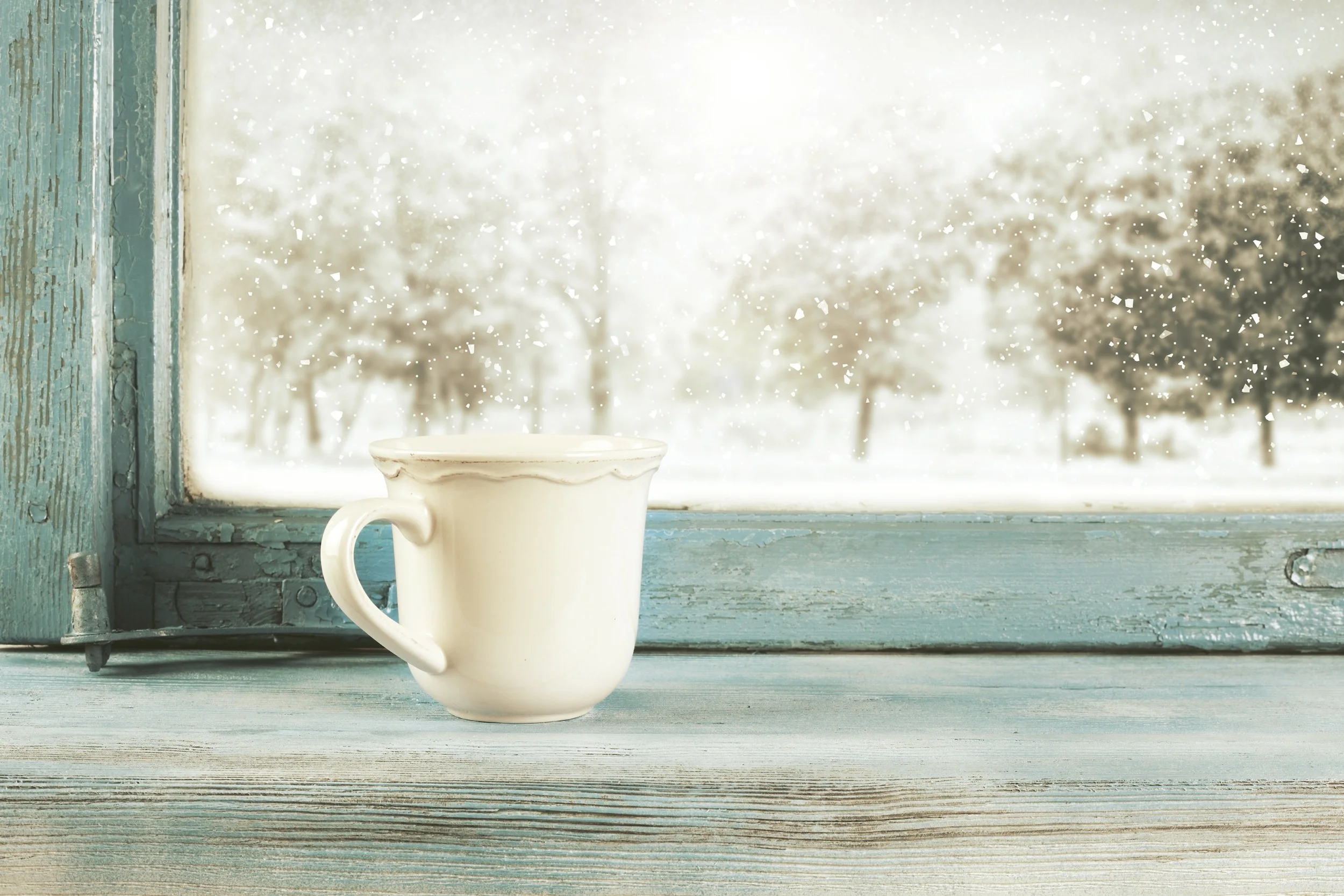 All the Windows in the World