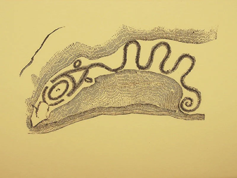 Serpent Mound
