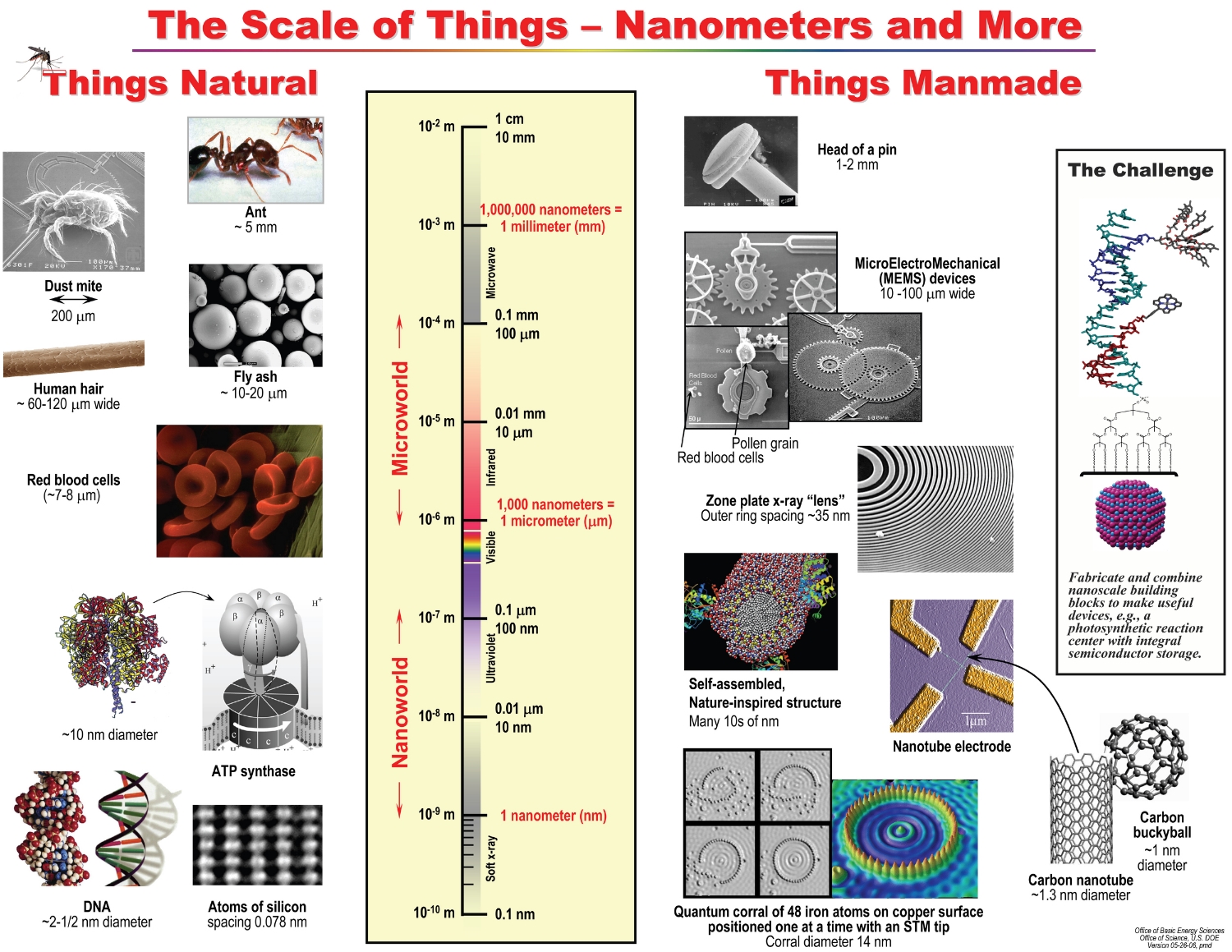 Scale of Things Chart. Image source: Basic Energy Sciences, U.S. Department of Energy, U.S. DOE Version 01-18-05, pmd by Office of Science , U.S. Department of Energy is licensed under Public Domain Mark 1.0
