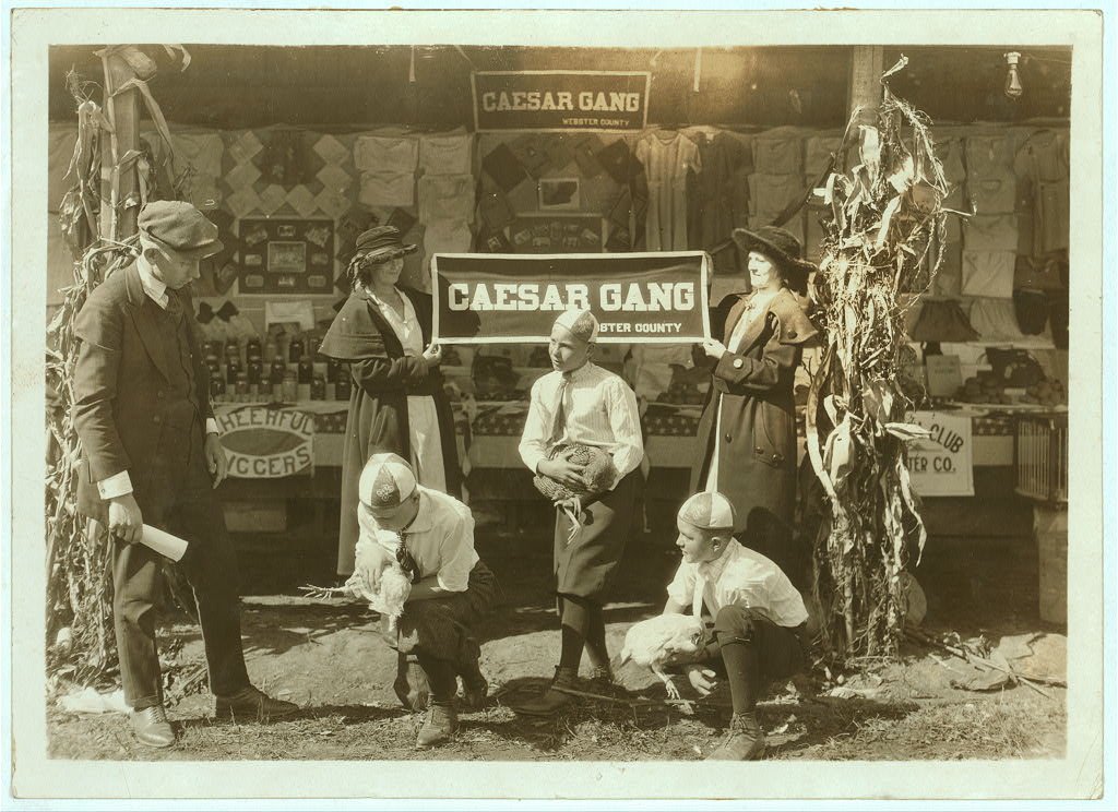 Some of the "Caesar Gang" boys demonstrating how to cull chickens to improve quality and quantity of product. Under direction of J. A. Wolfram County Agent, Webster Co. W. Va. State 4 H Fair, Charleston, W. Va. Oct. 13, 1921. Image source: Library of Congress , Prints & Photographs Division, National Child Labor Committee Collection, LC-DIG-nclc-04391 by Lewis W. Hine (1874-1940) has no known restrictions on publication