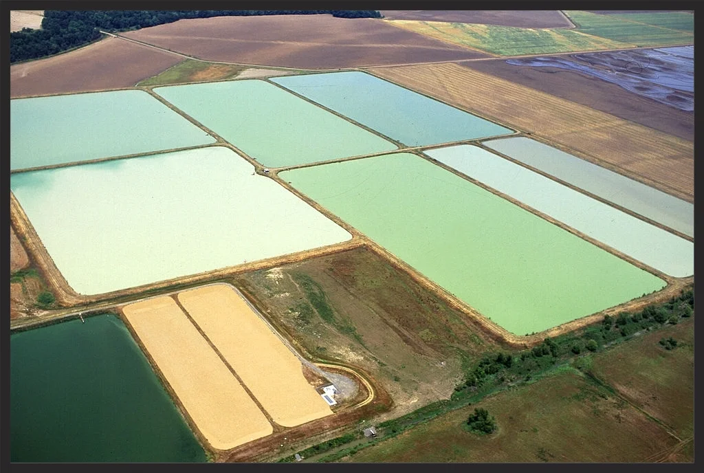 An aerial view of catfish ponds in Louisiana resembles an abstract painting, 5 March 2013. The color differences between ponds can be correlated to the number and type of algae present within the ponds. Image source: Louisiana Catfish Ponds k4724-7.jpg , and at flickr , a USDA photo by Scott Bauer, is licensed under CC BY 2.0