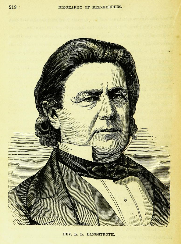 Rev. L. L. Langstroth. Image source: The new bee-keepers' text book, 24th edition , 1878, page 218 (assessed from Biodiversity Heritage Library , original contributor Cornell University Library ) by Albert J. King is licensed under Public Domain Mark 1.0