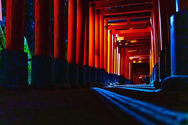 Fushimi Inari Shrine at night.
&bull;
&bull;
&bull;
&bull;
&bull;
#kyoto #japan #ig_japan #ig_masterpiece #worldshotz #icatching #shoot2kill #filmmaker #master_shots #illgramers #way2ill #ig_japangram #exploretocreate #travelphotography #canon5dmarki