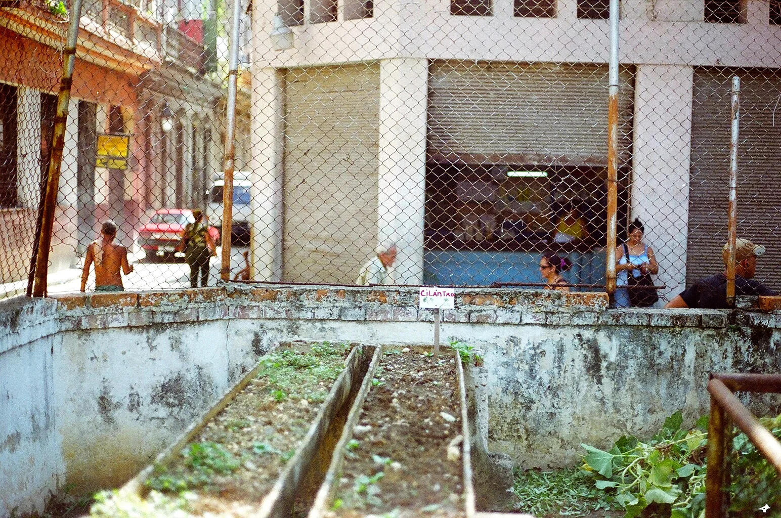 87820034.JPG