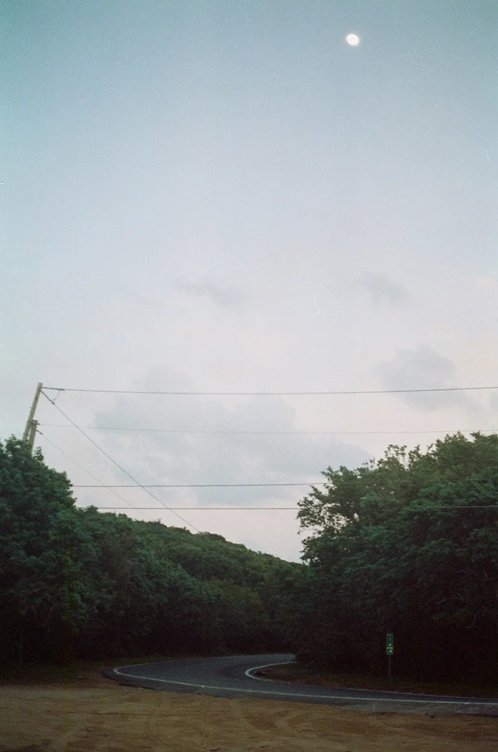59710024small.jpg