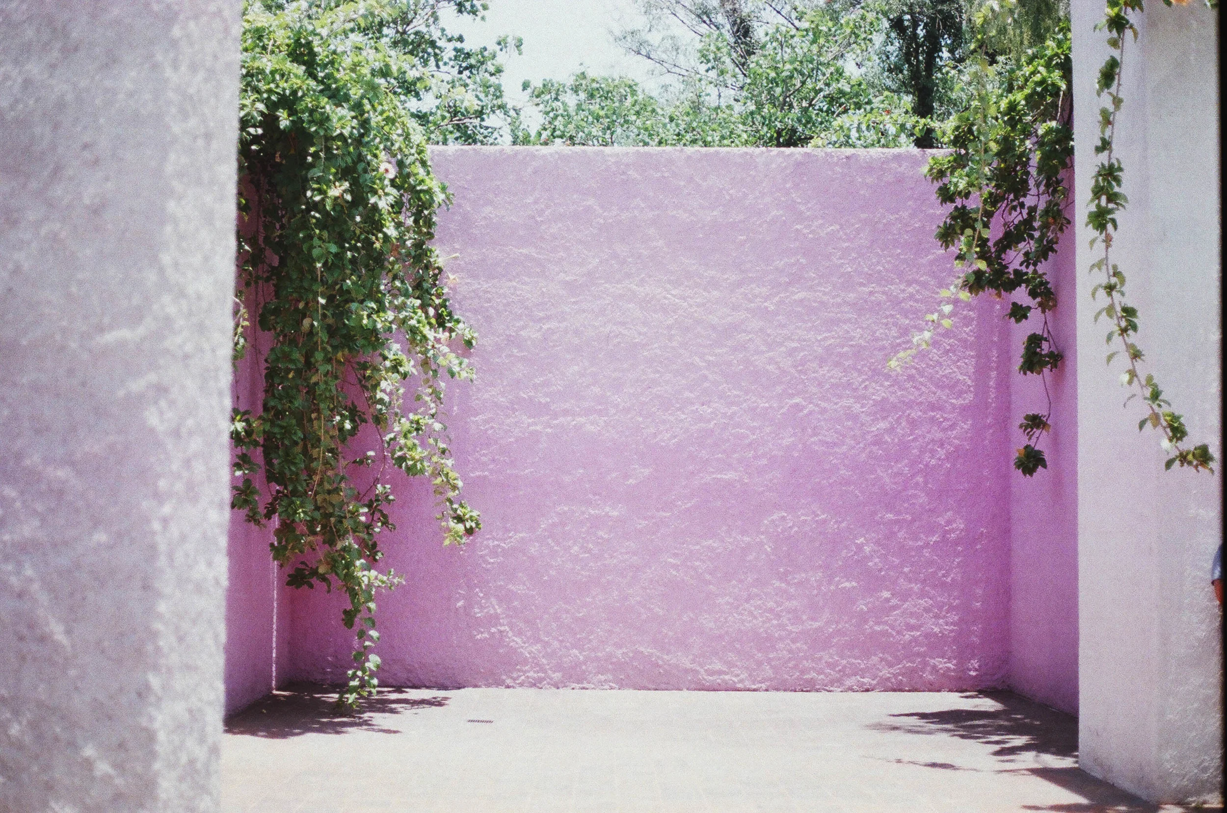 Barragan roof.jpg