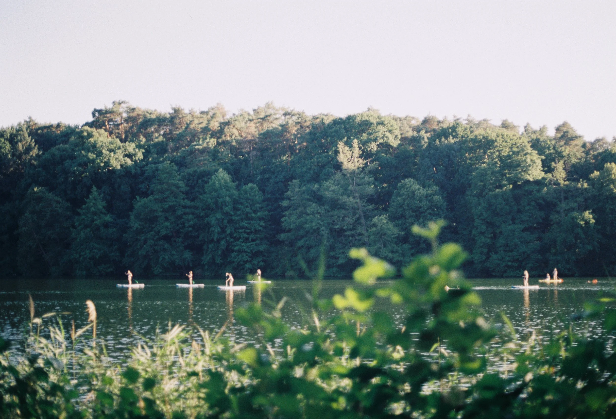 R1-05486-007A (1).JPG