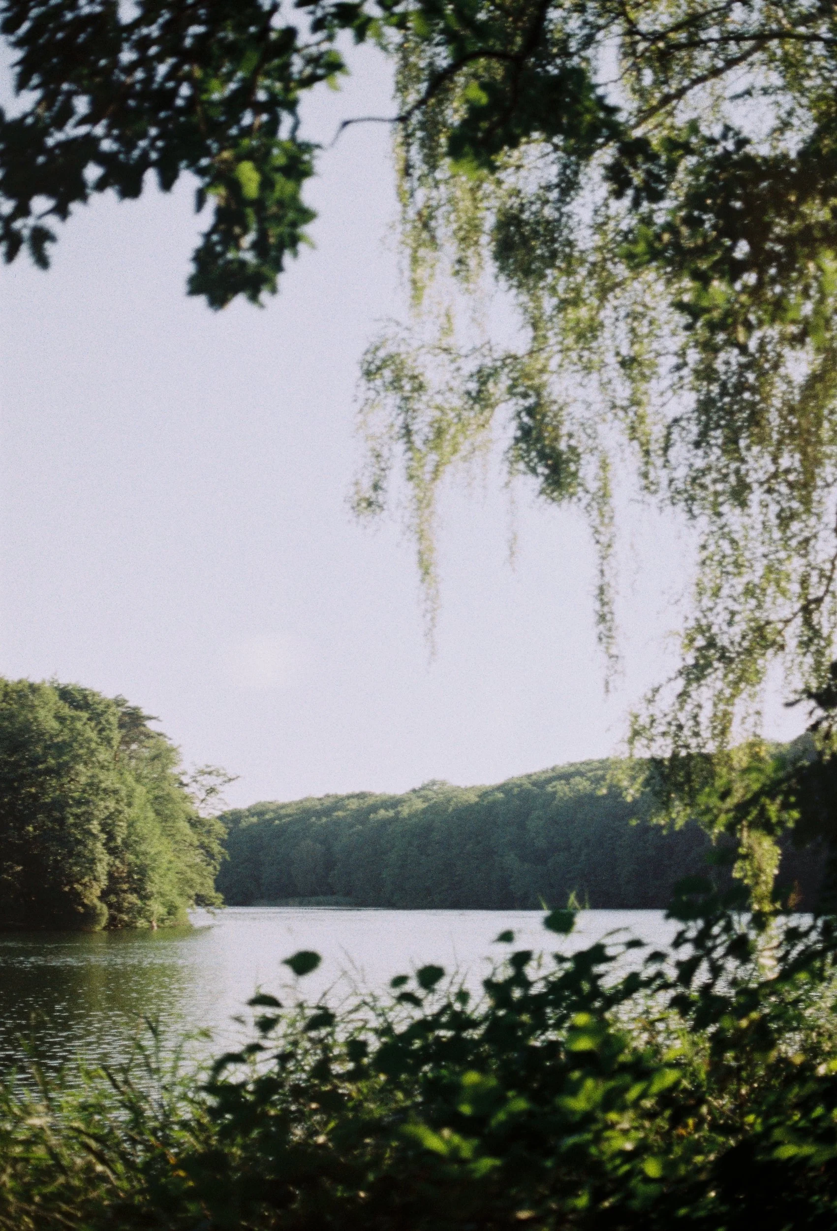R1-05486-009A (1).JPG