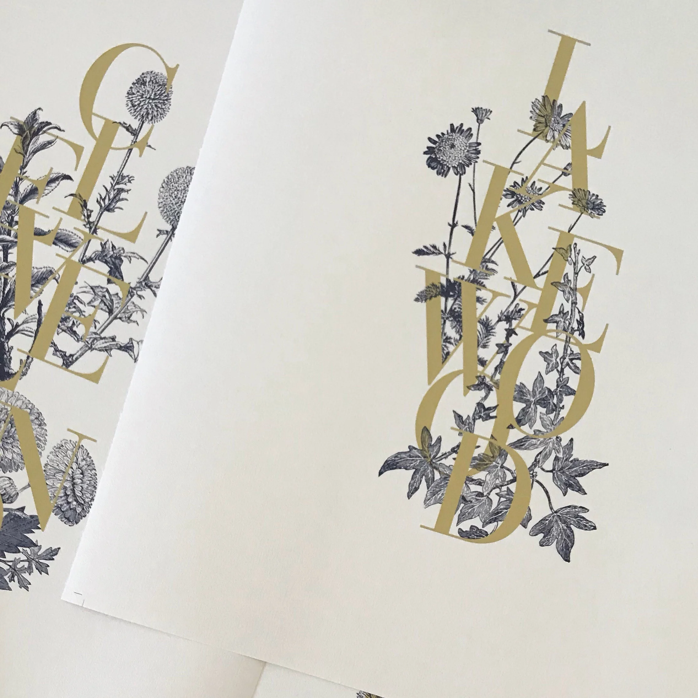 City Serif Botanical Prints - Cleveland - Lakewood - 2018 - Cuyahoga Collective 1.jpg