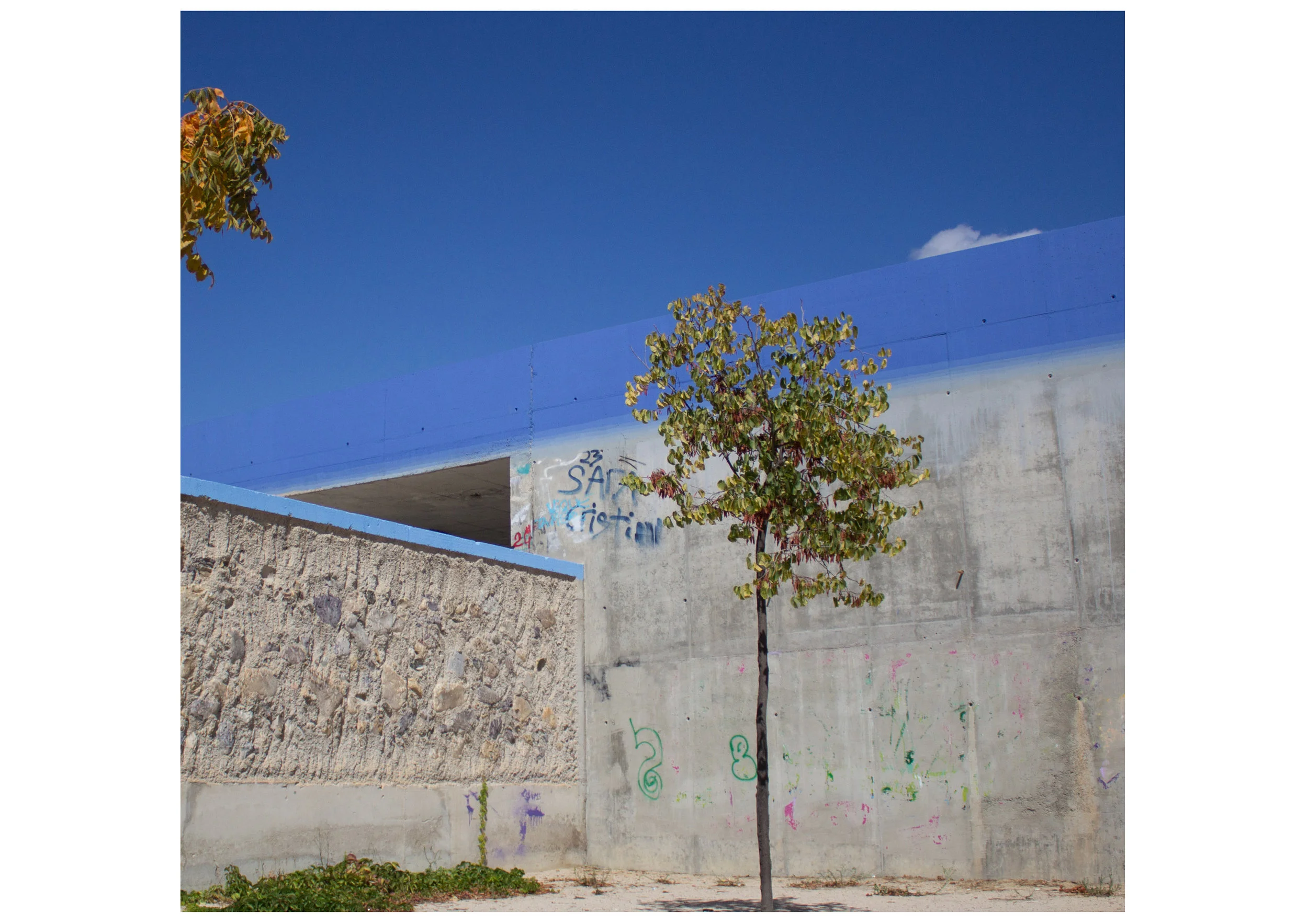 asalto1.jpg