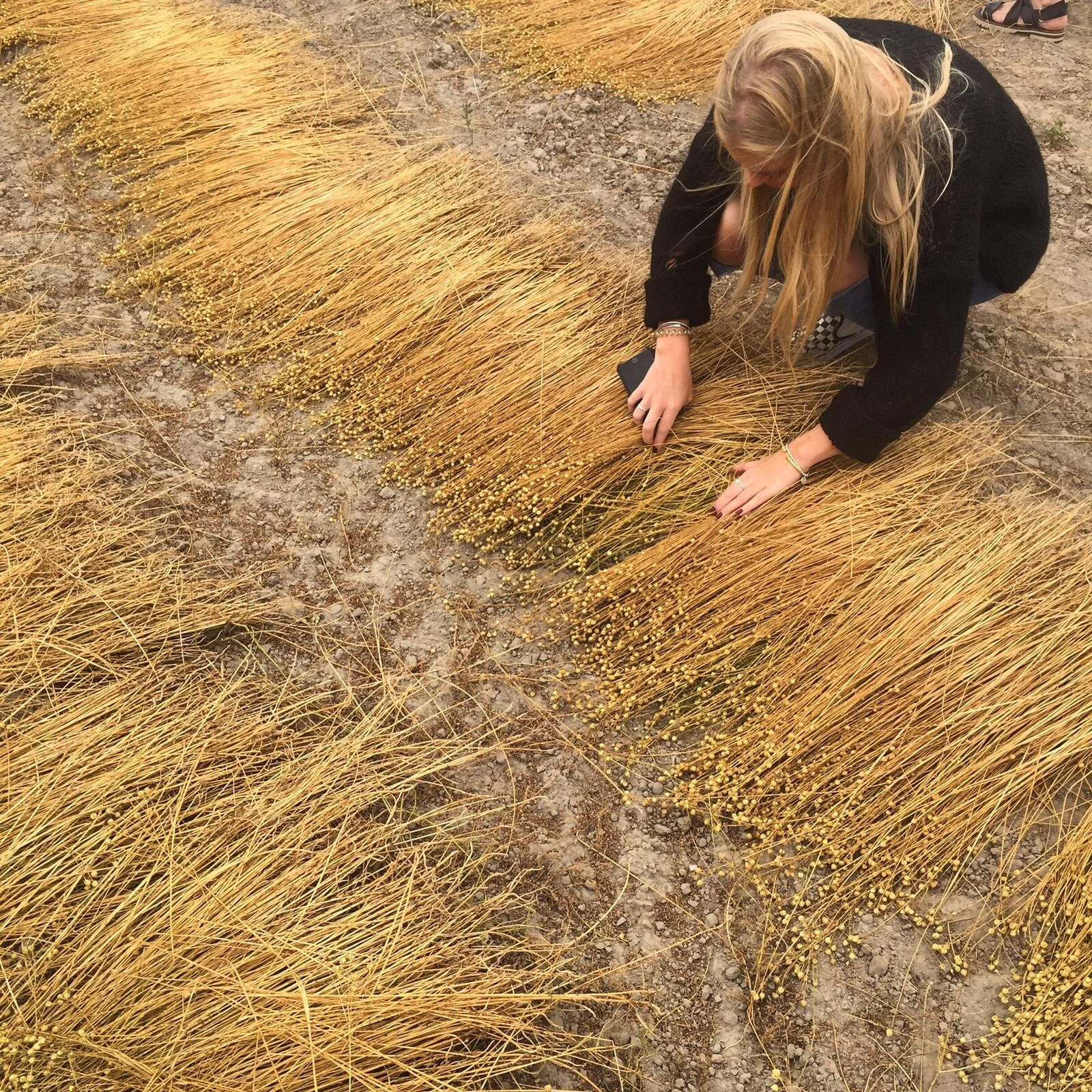 WhatsApp Image 2020-07-03 at 16.25.17 (1).jpeg