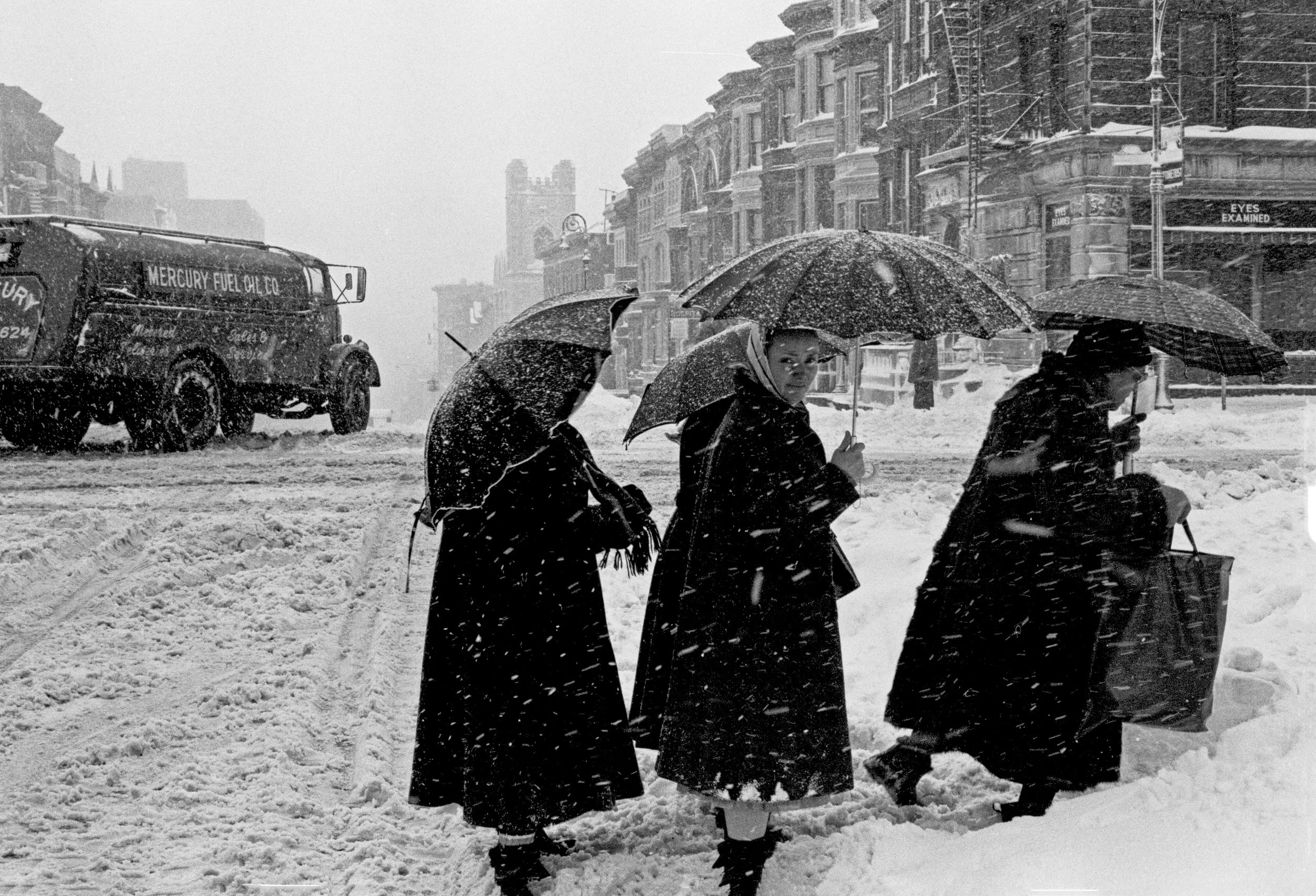 Black Umbrellas