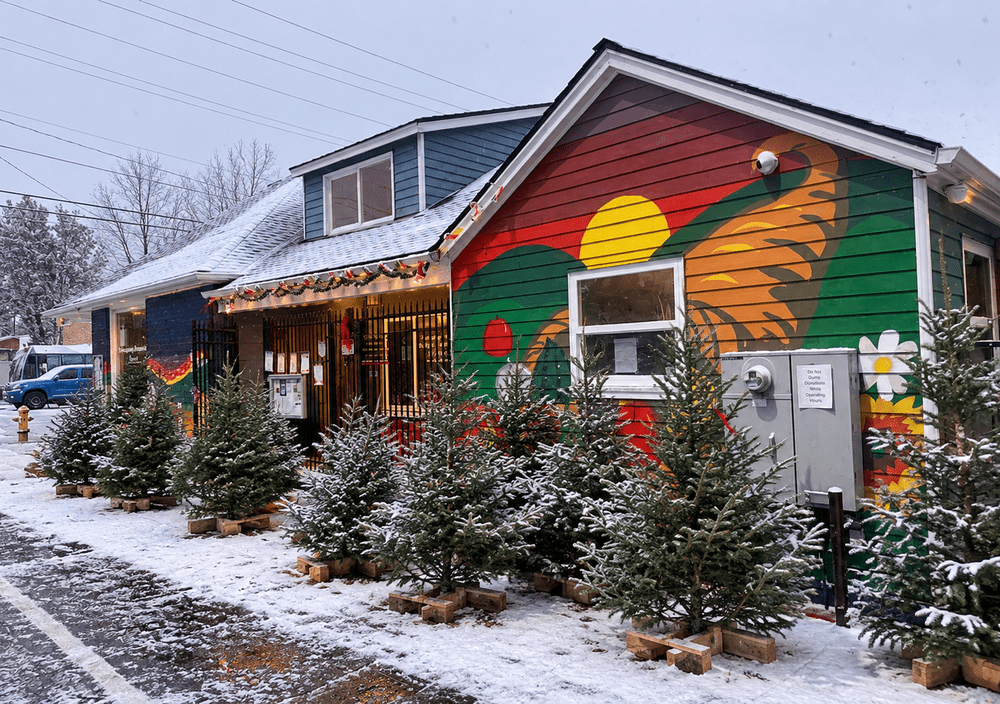 Mainspring's 2nd Annual Christmas Tree Giveaway