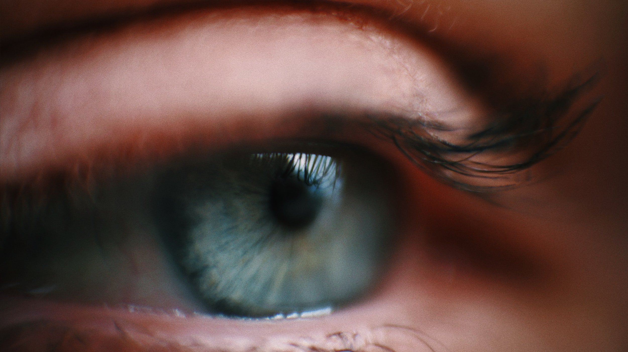 unsplash-image-dI22jW1E8XY.jpg