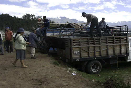 ecuador-74.jpg