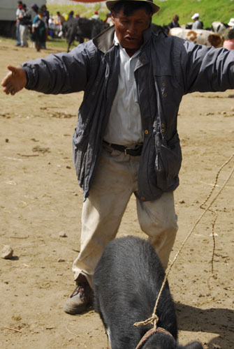 ecuador-75.jpg
