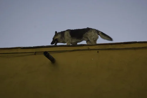 001mexico.jpg