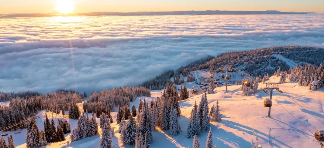 Wintergreen owner PRG acquires SilverStar
