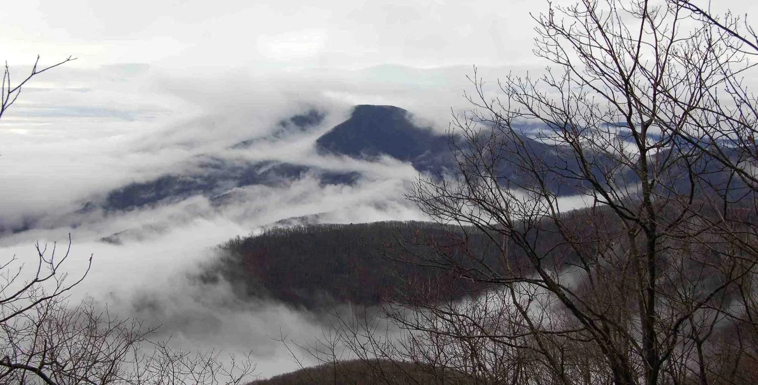 Environmental Issues Affecting Wintergreen-2026