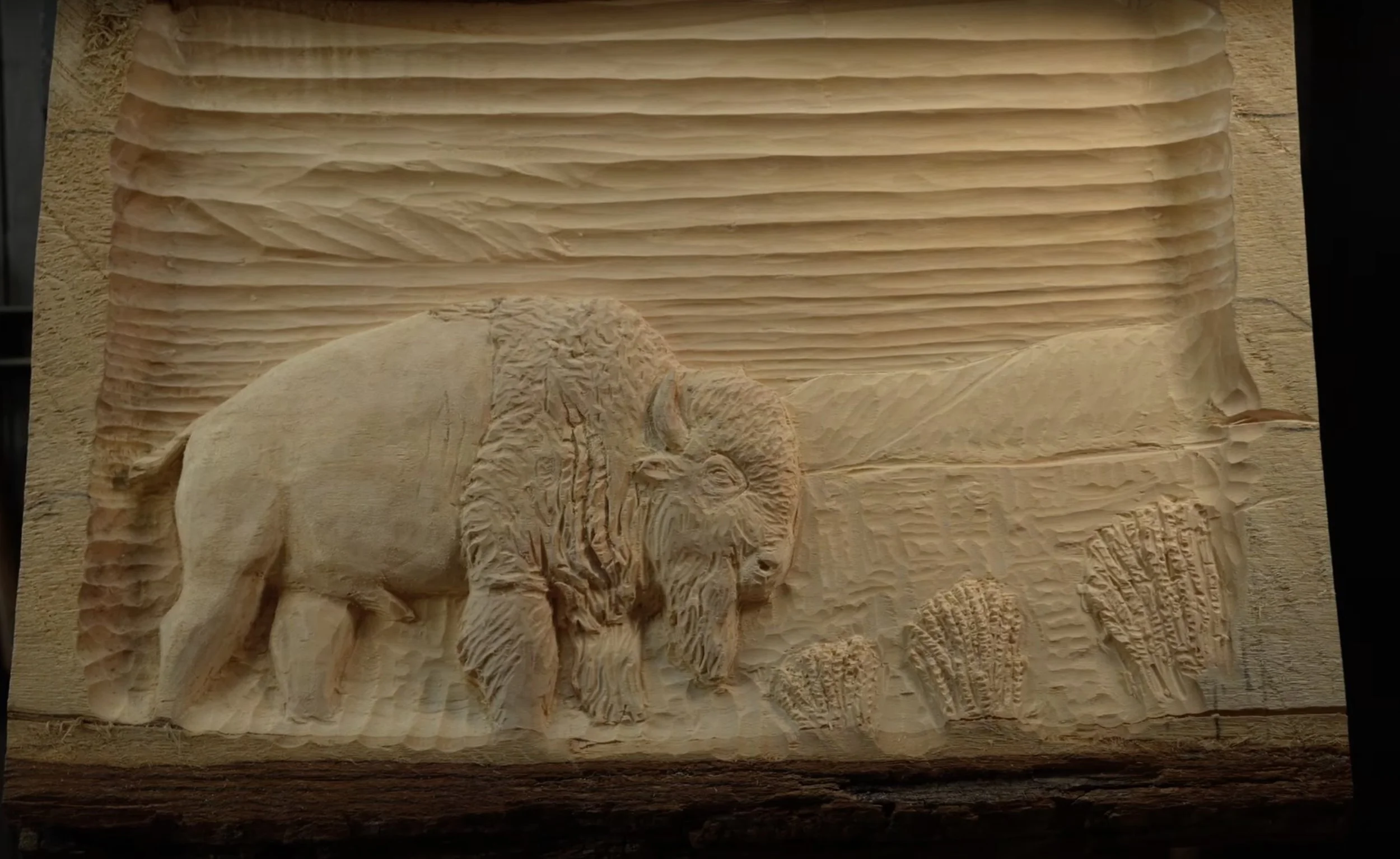 Buffalo Relief Pt. 2