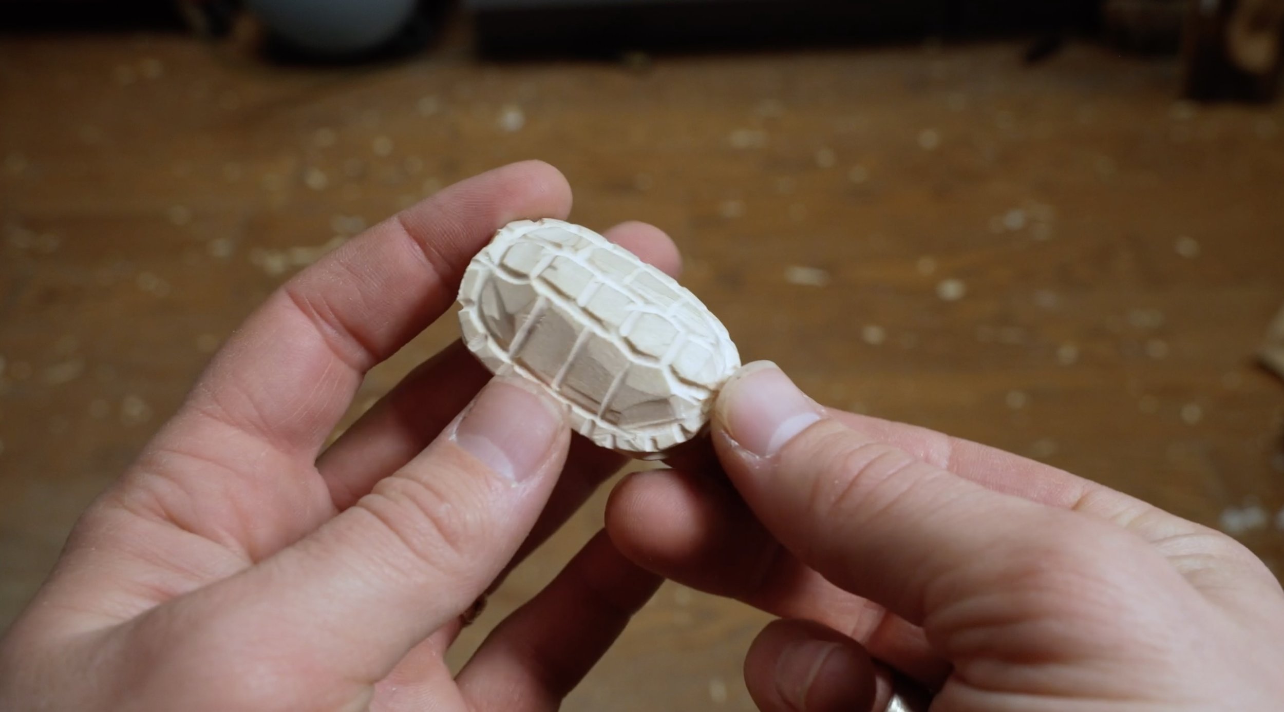 Tiny Turtle