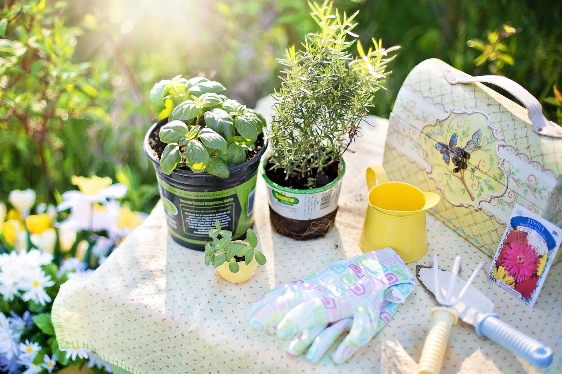Garden Club