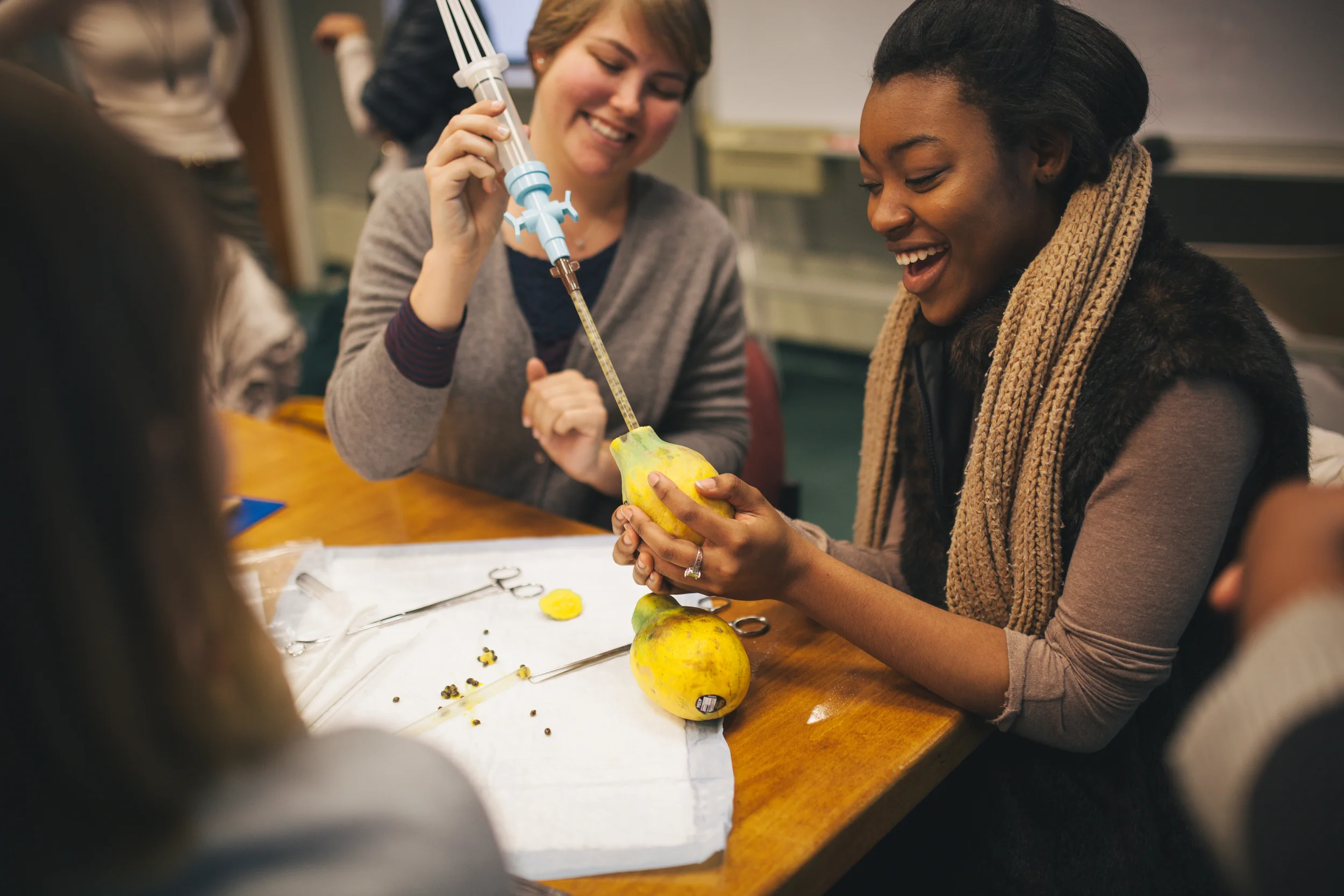 Photos from Feminist Camp!
